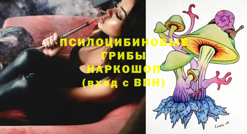 сколько стоит  Куртамыш  darknet клад  Псилоцибиновые грибы MAGIC MUSHROOMS 